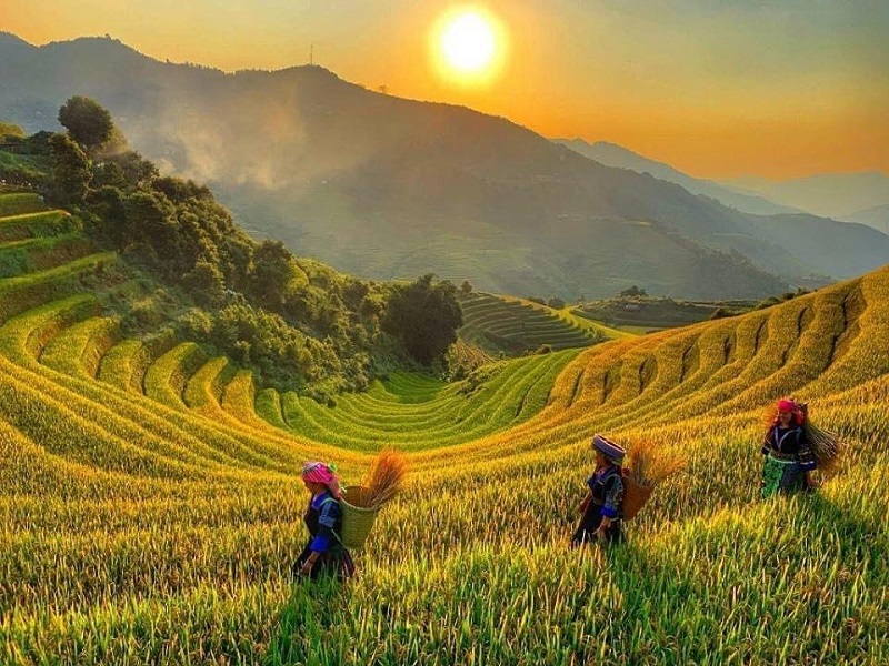 Ha Giang - Hoang Su Phi Tour 3 Days 2 Nights